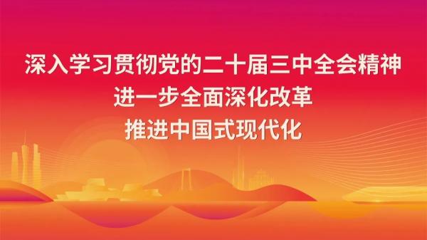 中央八项规定精神“画”重点②丨贯彻党中央决策部署不能当“演员”